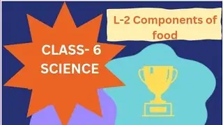 #class6#science#componentsoffood#bookexercise#ncert#solutions#important#trendit