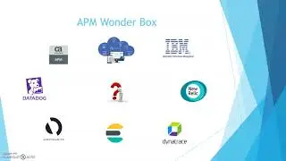 Anatomy of APM solutions