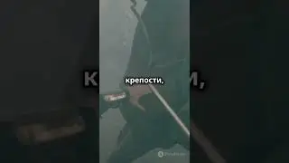 Куда исчезли все ассасины? #история #факты