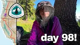day 98! / pct 2025 / 🦟 scrapping with skeeters!