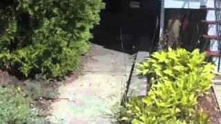 Dig Safe