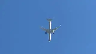 Plane spotting compilation at home (10/14/22)