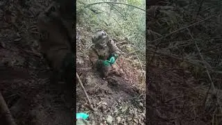 #hiking #adventure #explore #beach #outdoor #trendingshorts #camping #mountain #roadtrip #waterfall