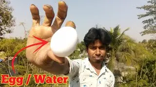Egg Ke Sath Water Experiment || Exp.Krishna || Anda Vs Pani || #experiment