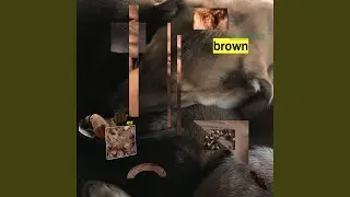 small brown colored birds
