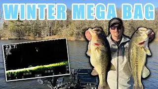 Catching GIANT winter bass with LIVESCOPE!