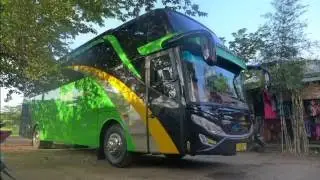 Shelota Wisata SHD Michelle45 