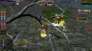 XIA 2v2 #ardreamworld