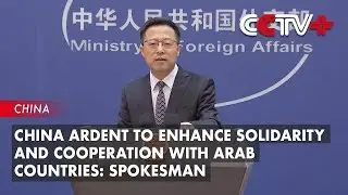 China Ardent to Enhance Solidarity and Cooperation with Arab Countries: Spokesman