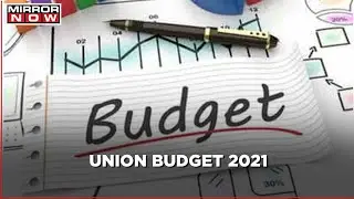 Budget Dictionary 2021 | What are the key points to remember? | Explained