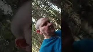 Anderson lake State Park walk April 7th trails