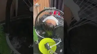 Korean hair spa tools #follow #dailyvlogs #hair #hairspa #hairspatreatment #vlogger #vlog ￼