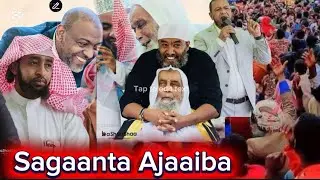 Sagaanta Ajaaiba Hayoota kenyaa jimmaa