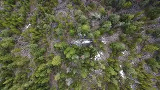 Remembering Flight 21 &mdash; Tail Section Remains near 100 Mile House, B.C.