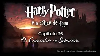 Harry Potter e o Cálice de Fogo - Capitulo 36 - Os Caminhos se Separam