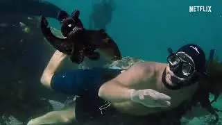 My Octopus Teacher