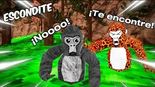 Jugando a escondidas en Gorilla tag!!!