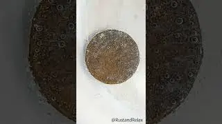 Watch a Coin Rust Before Your Eyes! Mesmerizing Time-lapse with Relaxing Bubble Sounds