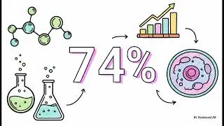 Laurus Labs Q2 & H1 FY2026 Financial Results Presentation