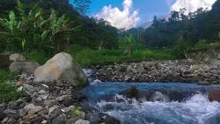 Tranquil River Stream &ndash; 10 Hours of ASMR for Focus, Relaxation & Peace
