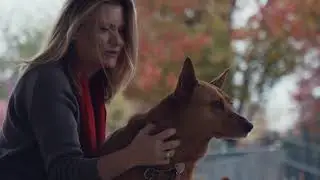 Rescue Story  Saving Companion Animals  Activism Trailer