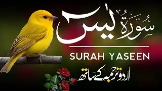 Surah Yaseen | Surah Yaseen With Urdu Translation | Al Furqan Studio | Ep019