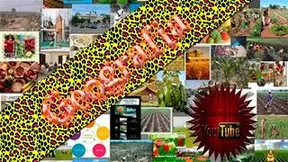 Geografía : Recursos naturales [bamj]