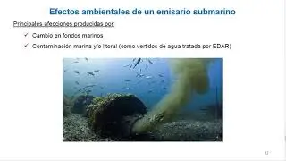 Efectos ambientales de EDAR y emisarios submarinos | 18/24 | UPV