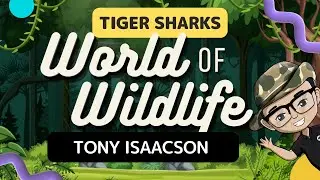 [WOW] Tiger Sharks with Tony Isaacson [December]