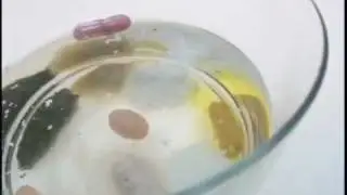 Organic Life Vitamins