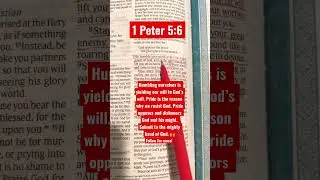 God opposes the proud and gives grace to the humble!! #scripture #bible #shorts #god #humble #love