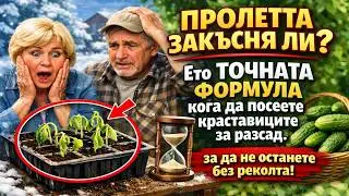 ПРОЛЕТТА ЗАКЪСНЯ ЛИ? 🥶 Ето ТОЧНАТА ФОРМУЛА кога да посеете краставиците за разсад, за да не остане