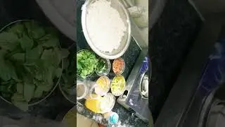 Pudina rice  Swamy pathalla  YouTube channel