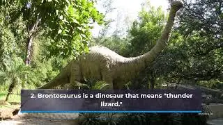 6 Cool Facts about Brontosaurus