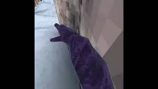 How to wall run