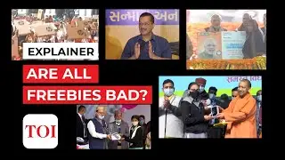 Promising &lsquo;freebies&rsquo; during elections is a part of democratic process, say experts