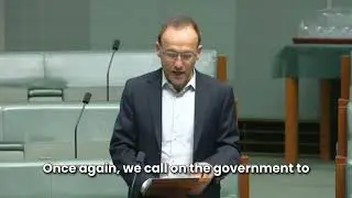 Adam Bandt speaks on Sudan