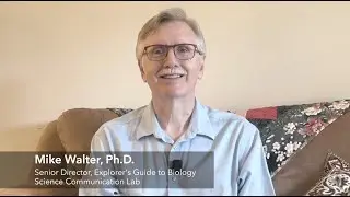 Mike Walter Biography