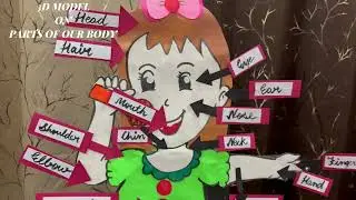 Parts of Our Body &ndash; 3D Model | Easy & Creative School Project