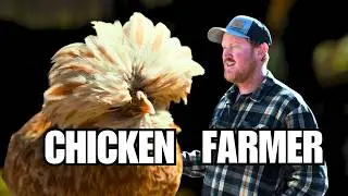 These Chickens Got a Big Coop Upgrade