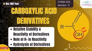 Carboxylic Acid Derivatives 02 || BSc 2nd year || R-Chemistry