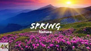 FLYING OVER amazing spring atmosthere || 1hour of Relaxing Music Along With Beautiful Nature Videos.