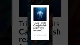 Can jellyfish really live forever? | Trivia Tidbits