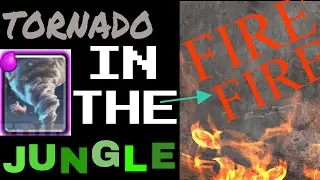 Tornado in the Jungle! Closest match ever!!!!