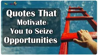 Quotes That Motivate You To Seize Opportunities