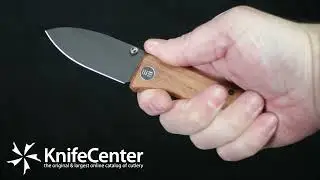 WE Knife Company Ben Petersen Banter Folding Knife