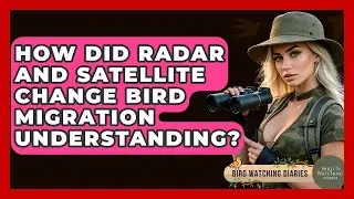 How Did Radar And Satellite Change Bird Migration Understanding? - Bird Watching Diaries