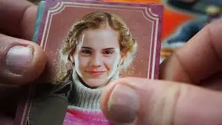 Harry Potter Evolution. La nouvelle collection Panini 2022.