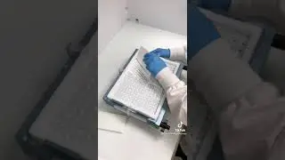 Oddly Satisfying Pill capsule asmr
