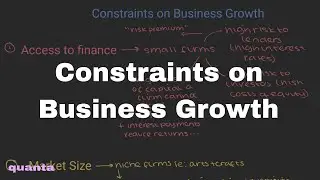 Constraints on Business Growth